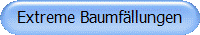 Extreme Baumfllungen